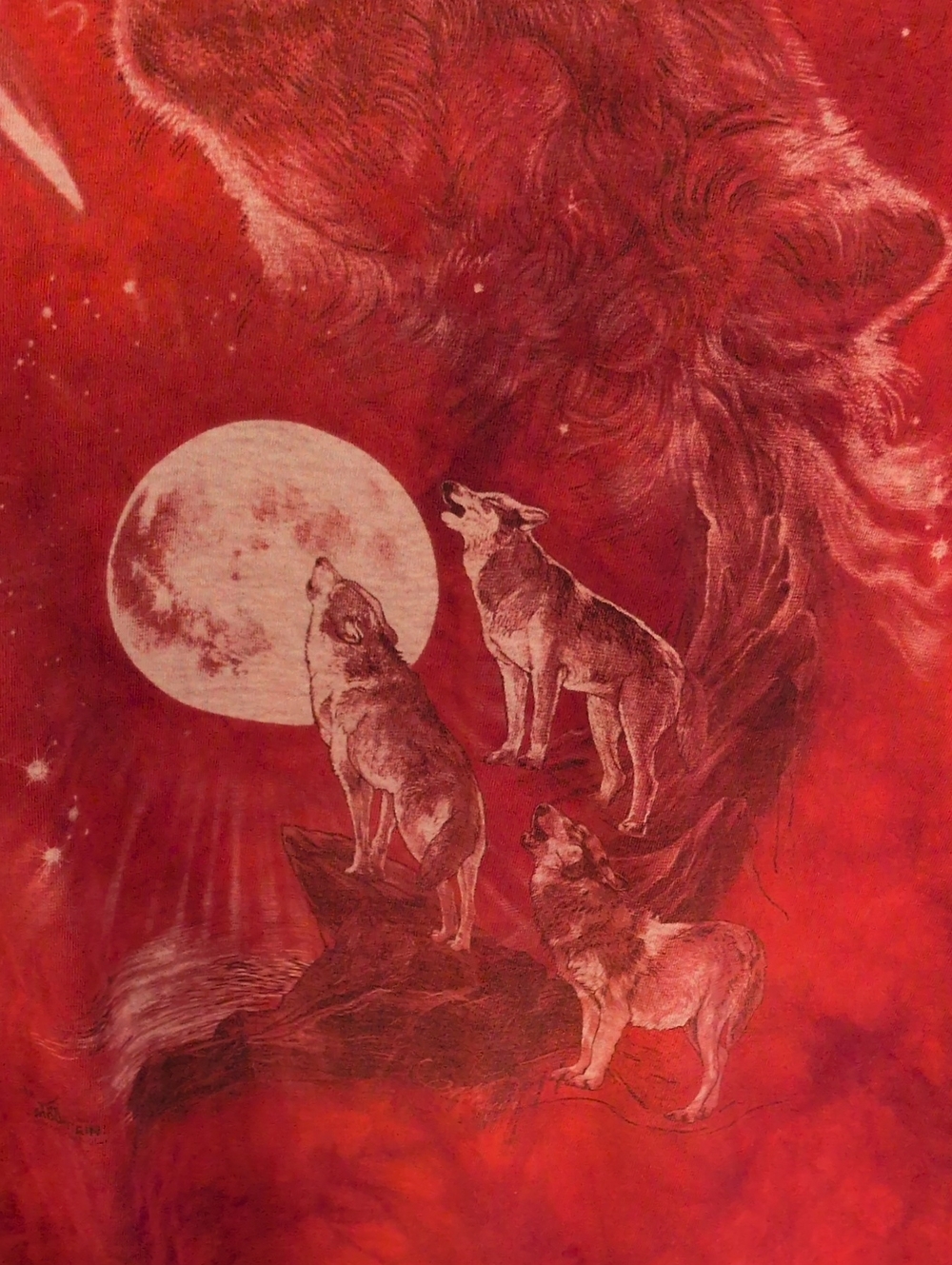 The Mountain Wolves Moon 100% Cotton Distressed Tie Dye Tee Shirt Gorpcore Retro - Picture 9 of 11